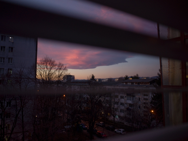 529 :: Sun set violet